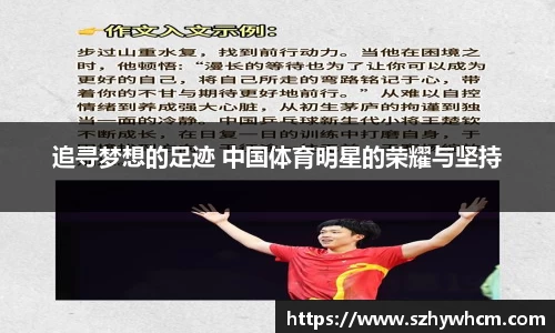 追寻梦想的足迹 中国体育明星的荣耀与坚持