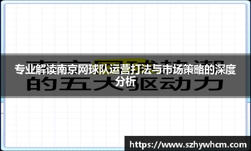 专业解读南京网球队运营打法与市场策略的深度分析