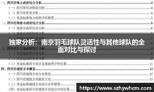 独家分析：南京羽毛球队灵活性与其他球队的全面对比与探讨