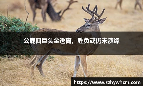 公鹿四巨头全逃离，胜负或仍未演绎