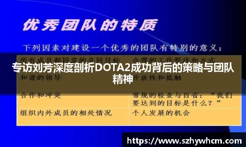 专访刘芳深度剖析DOTA2成功背后的策略与团队精神
