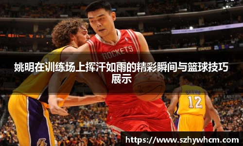 姚明在训练场上挥汗如雨的精彩瞬间与篮球技巧展示