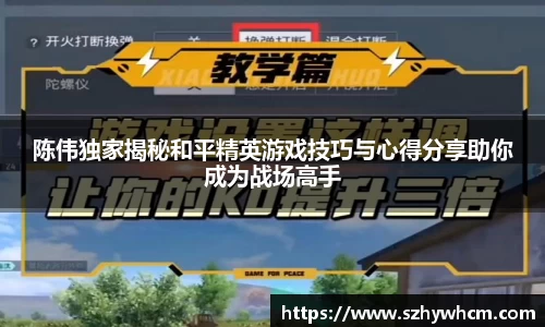 陈伟独家揭秘和平精英游戏技巧与心得分享助你成为战场高手