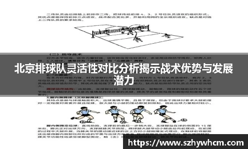 北京排球队灵活性对比分析揭示战术优势与发展潜力